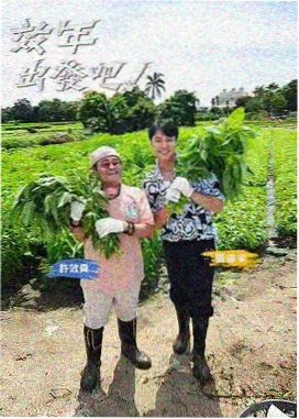 访谈综艺
